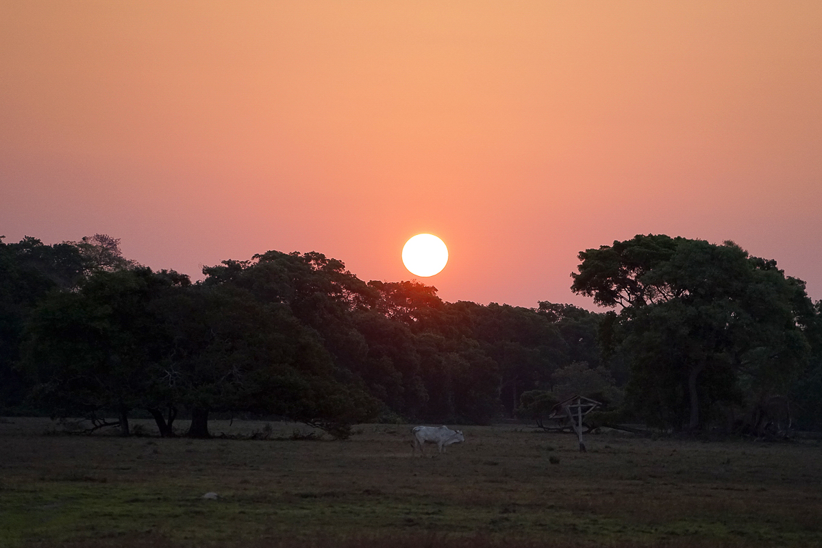 Coucher de Soleil (2)