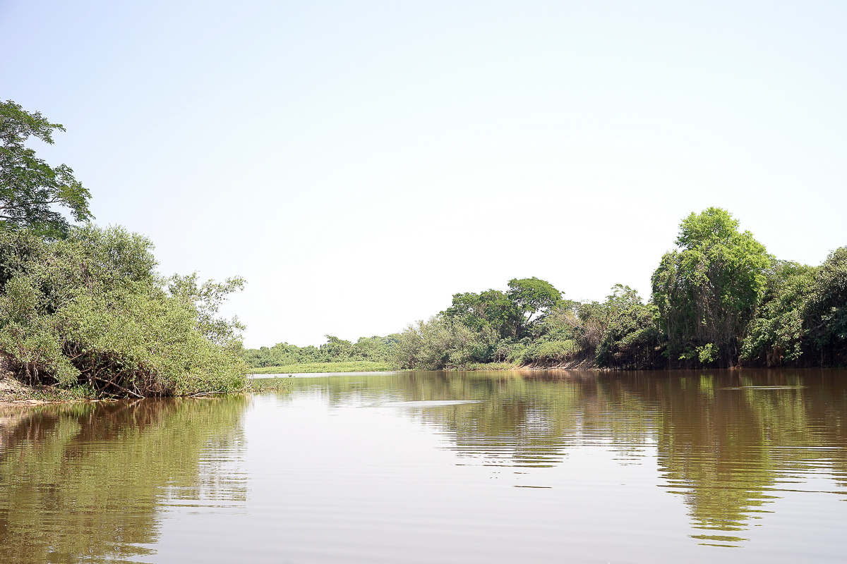 La rivière aux Jaguars