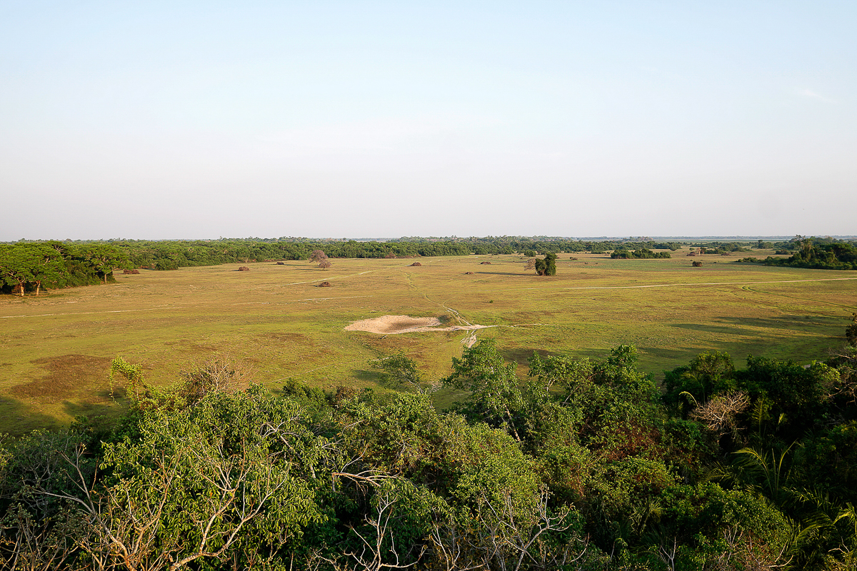 Vue de la tour à Puvial